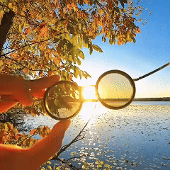 Slim Edition – block 1