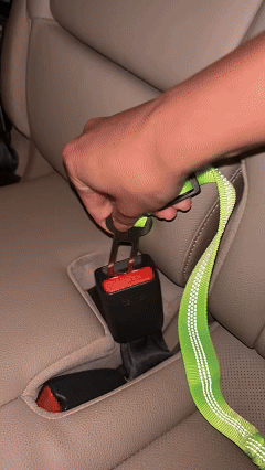 Pet Seatbelt Leash – block 1