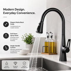 Kitchen Faucet