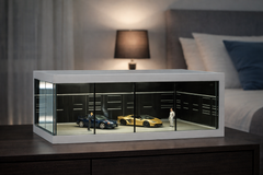 Car Garage Display