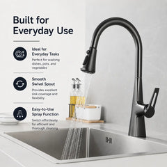 Kitchen Faucet