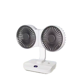Dual Fan