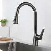 Kitchen Faucet