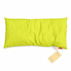 Beach Pillow