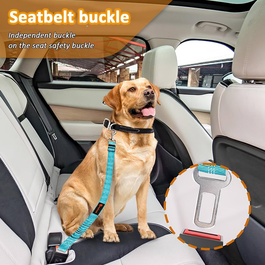 Pet Seatbelt Leash
